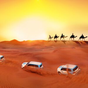 Desert Safari Adventure