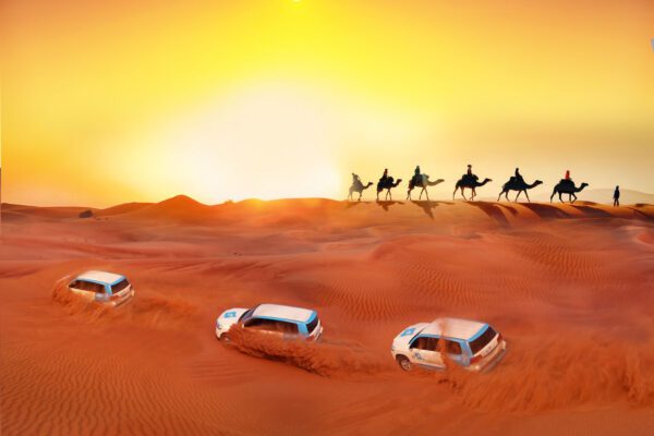 Desert Safari Adventure