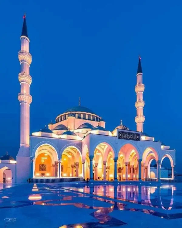 Private Abu Dhabi City Tour - Image 2