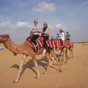 book family desert safari dubai