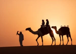 cammel ridding dubai