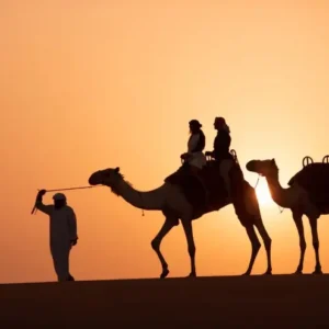 cammel ridding dubai