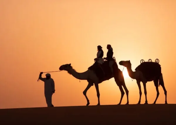 cammel ridding dubai