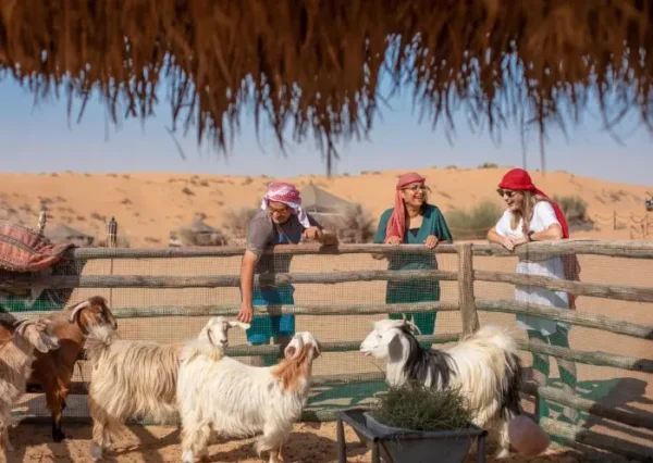 desert safari dubai adventure deals